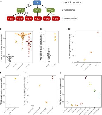 RNA Based Approaches to Profile Oncogenic Pathways From Low Quantity Samples to Drive Precision Oncology Strategies